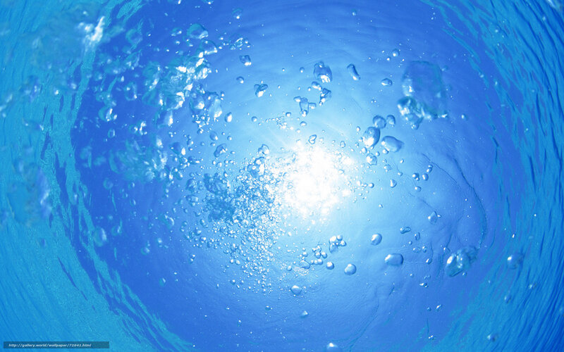 Bubbles Rising Underwater — Blue, Serene, Afternoon, Photograph