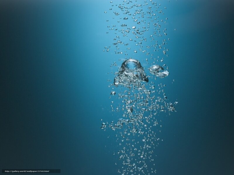 Bubbles rising underwater