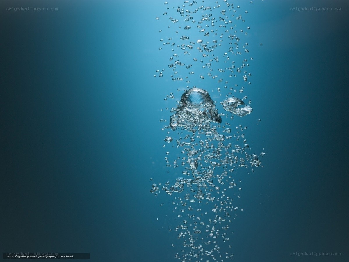 Bubbles rising underwater