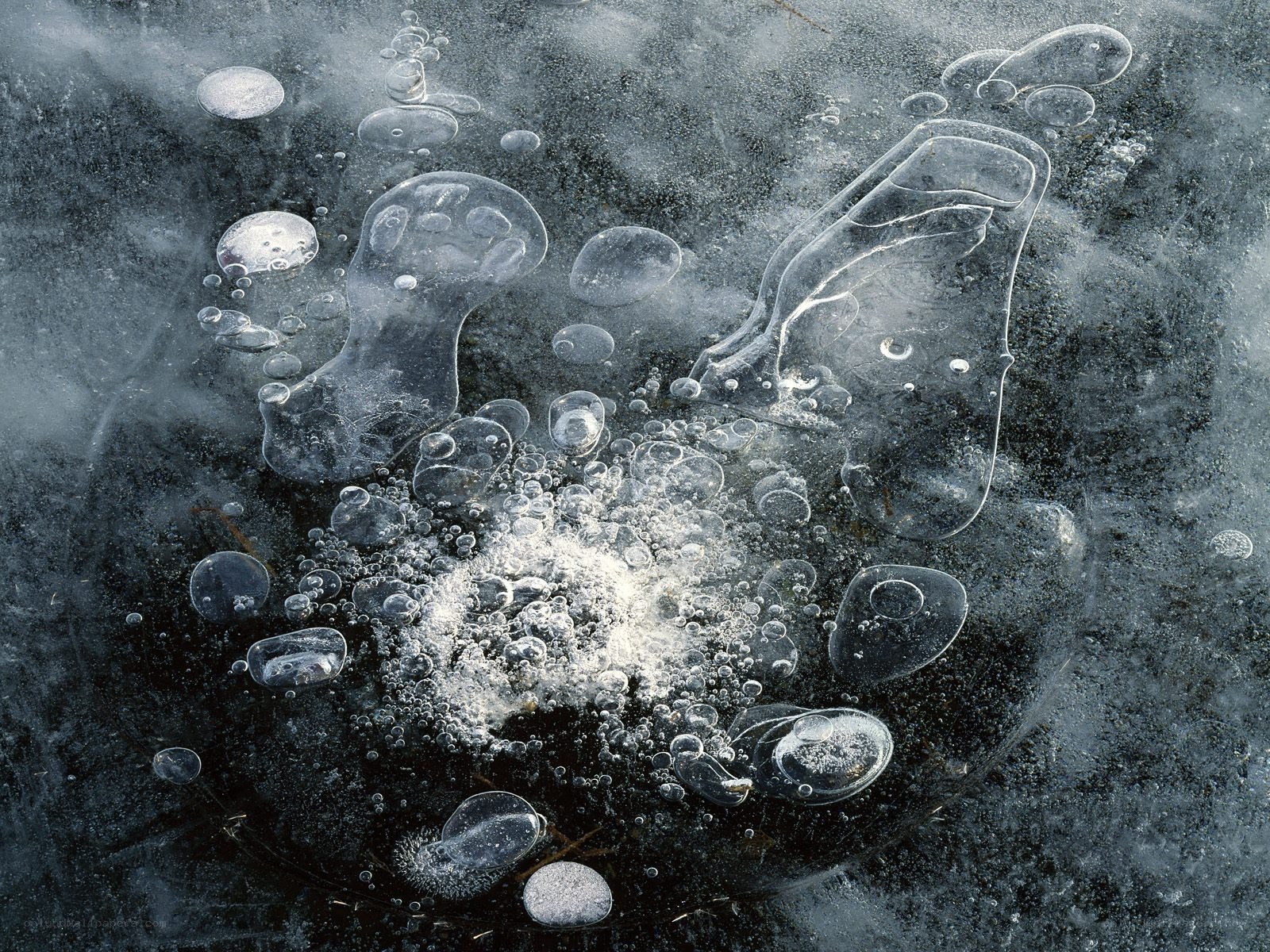 Bubbles trapped in ice