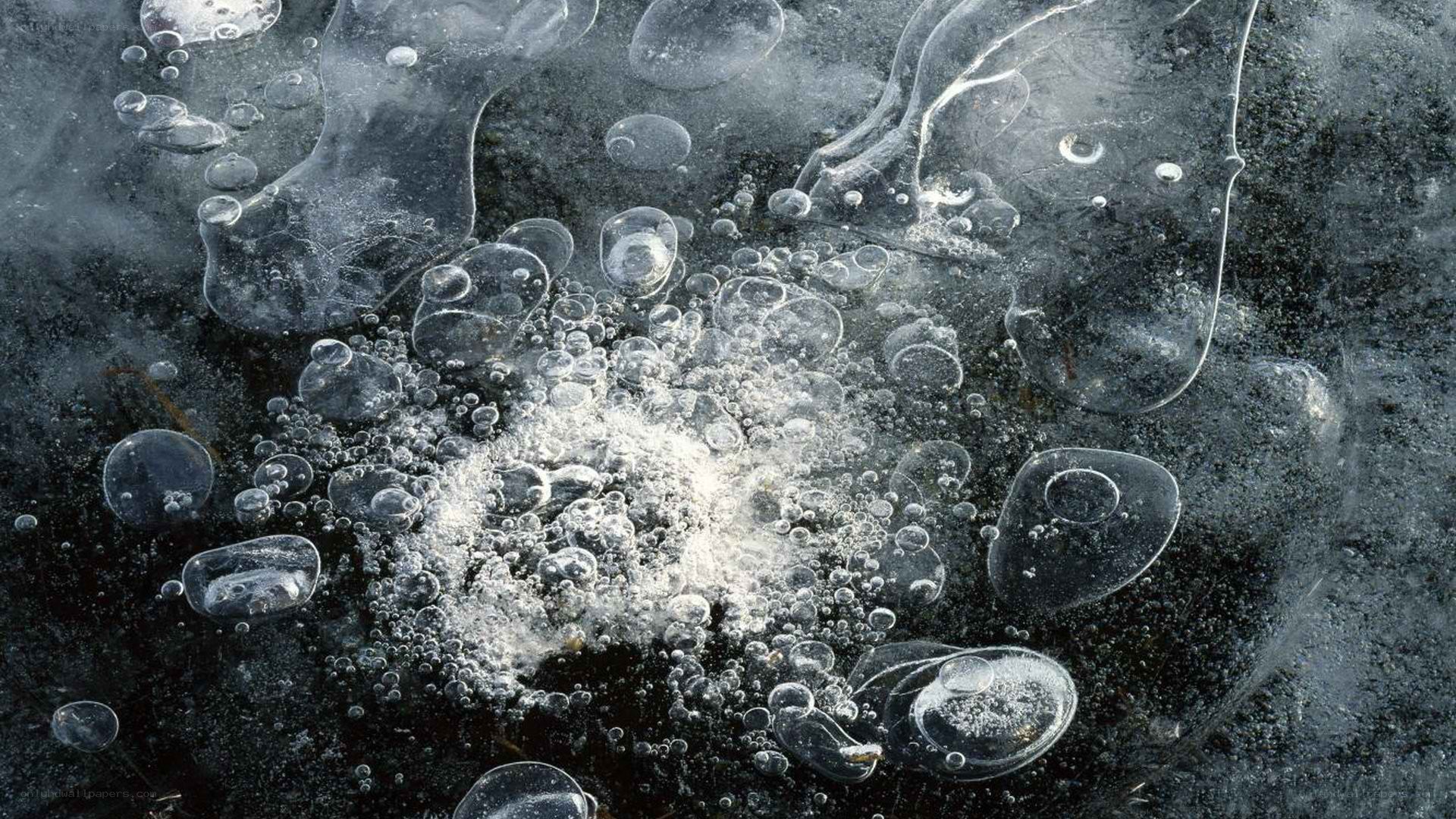 Bubbles trapped in ice