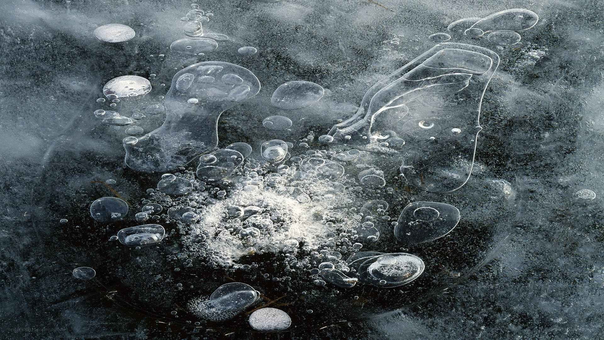 Bubbles trapped in ice