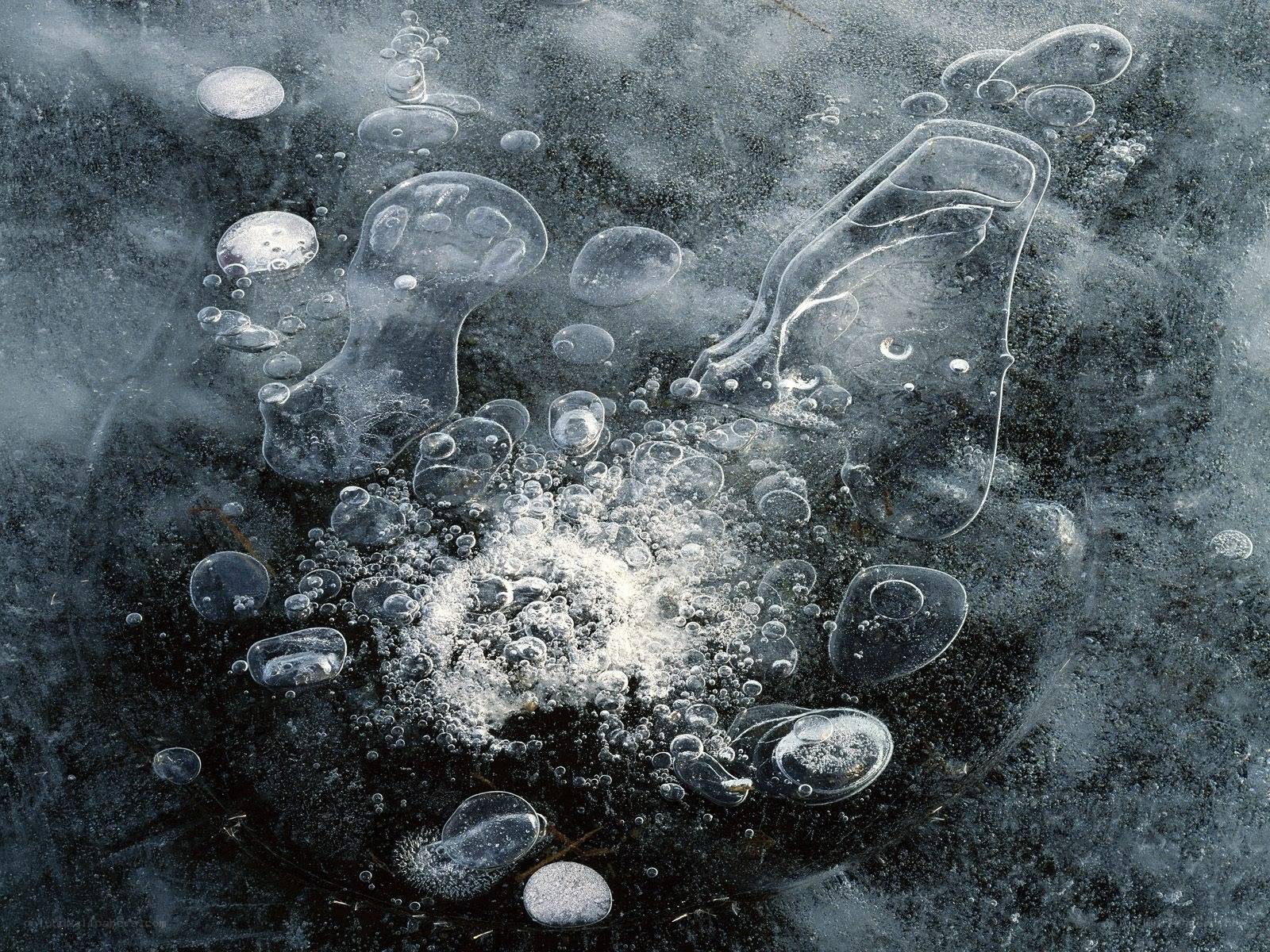 Bubbles trapped in ice