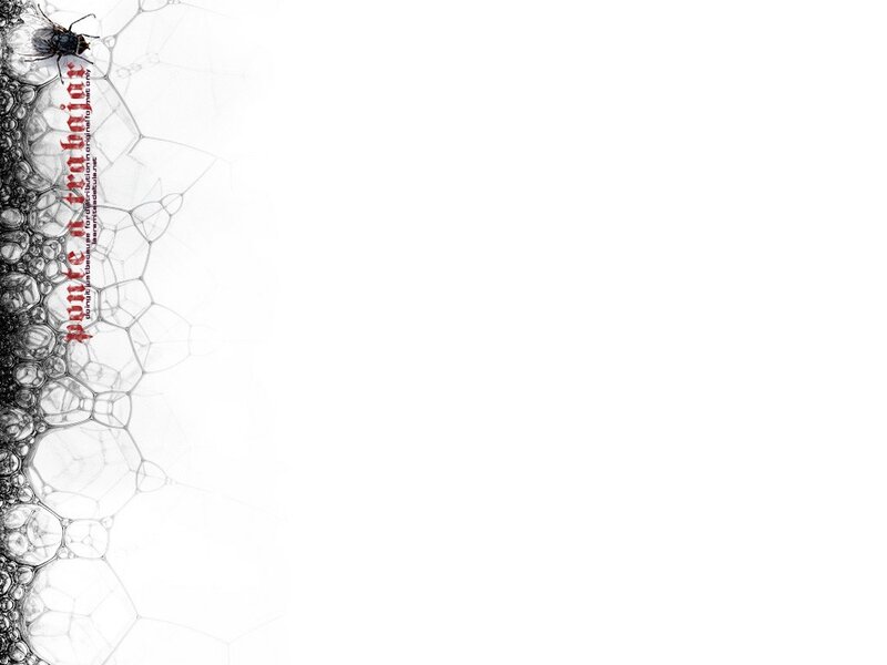 bubbles with fly and text