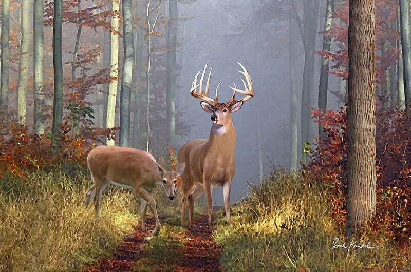 Buck and Doe in Forest — Brown