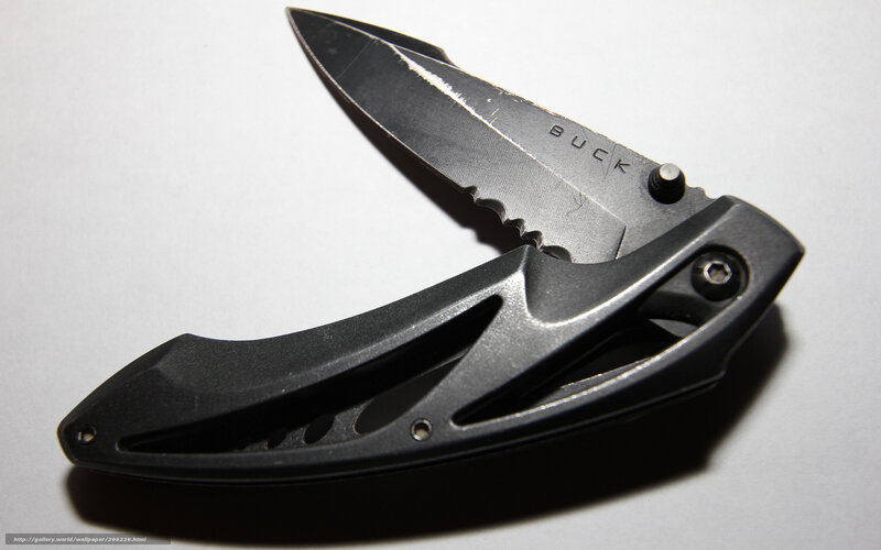 Buck folding knife