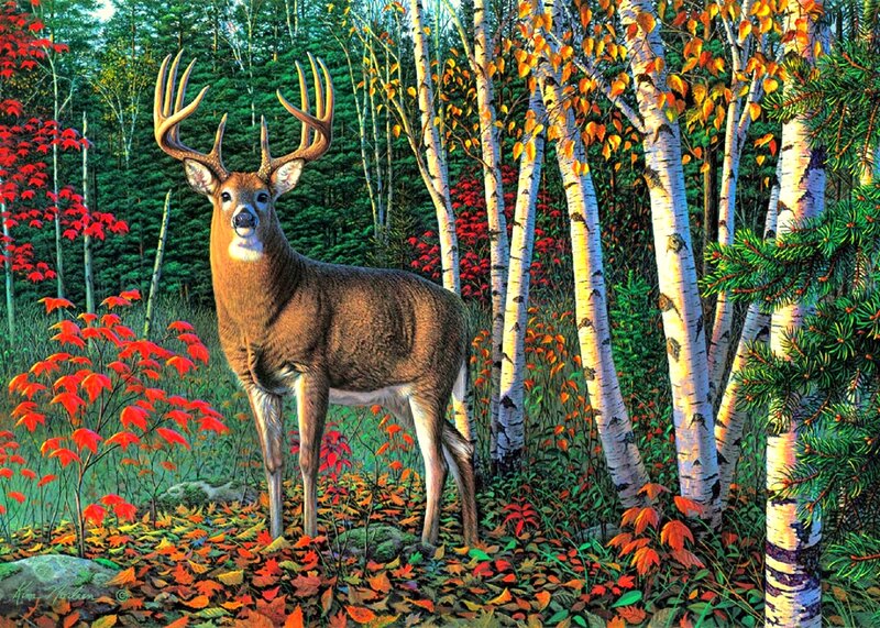 Buck in Autumn Forest — Brown, Serene