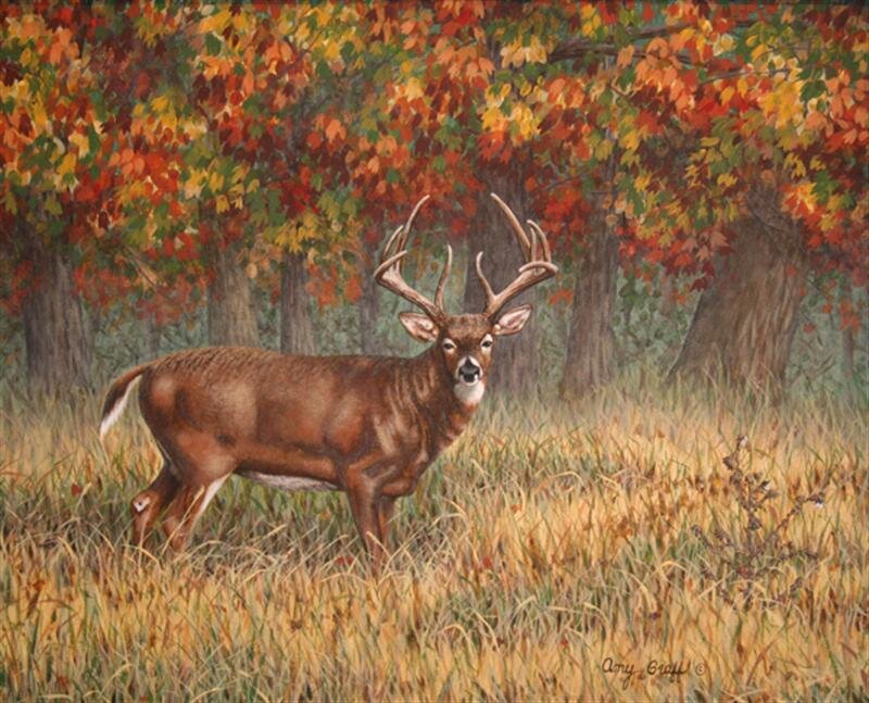 Buck in Autumn Forest — Brown