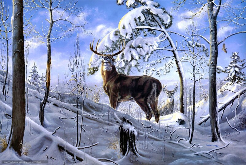 Buck in Snowy Forest — White, Serene, Winter