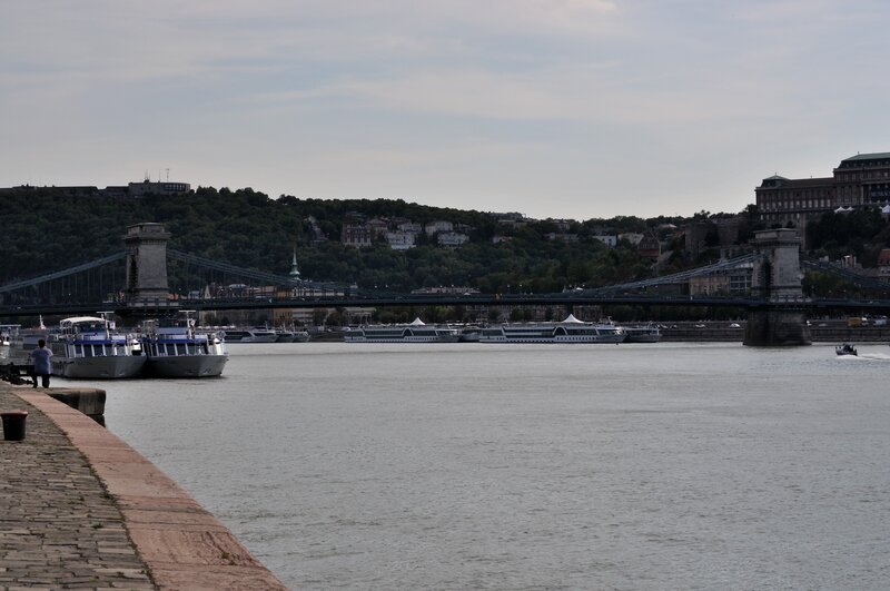 Buda and the Danube