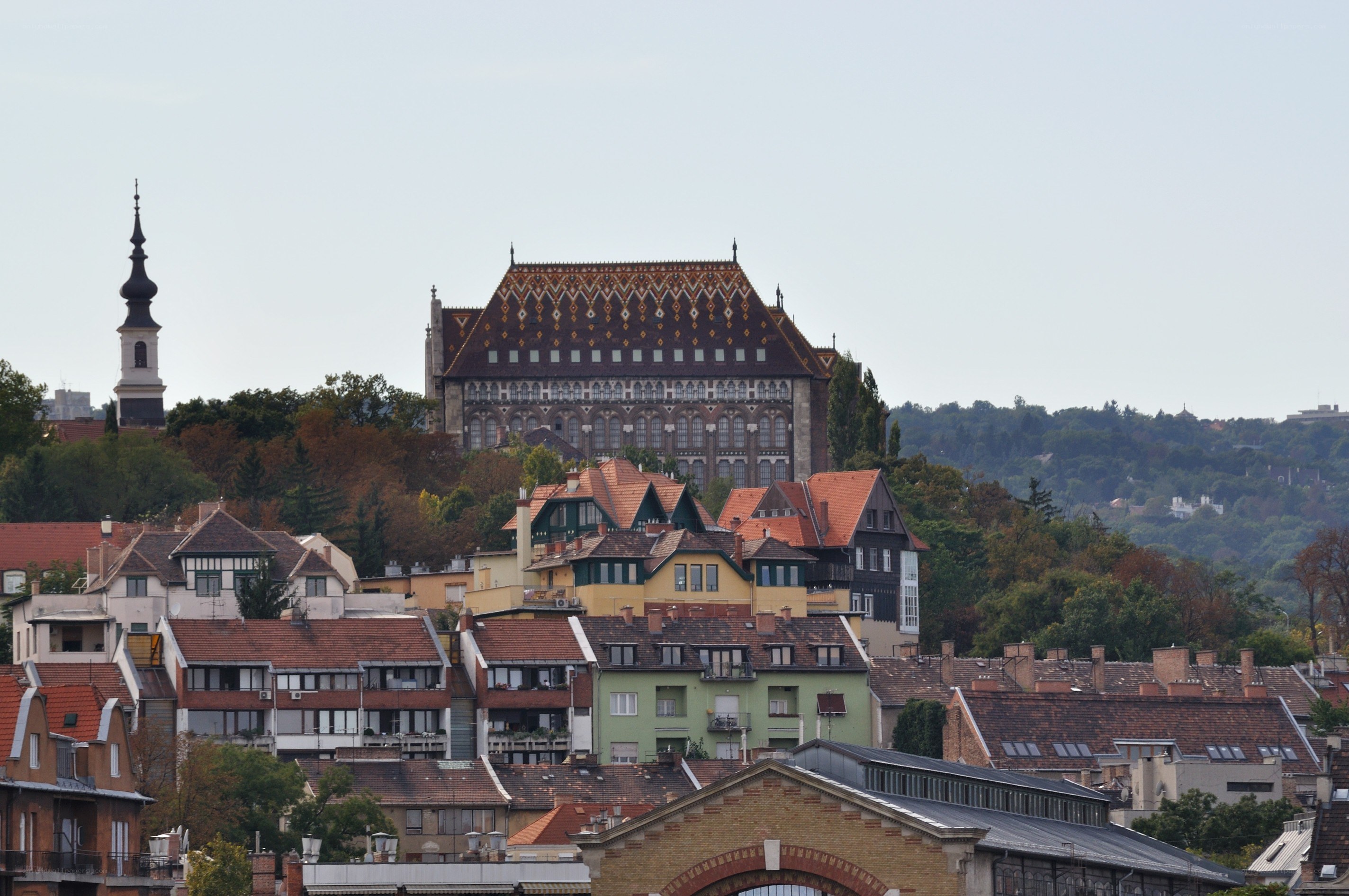 Buda Castle and cityscape