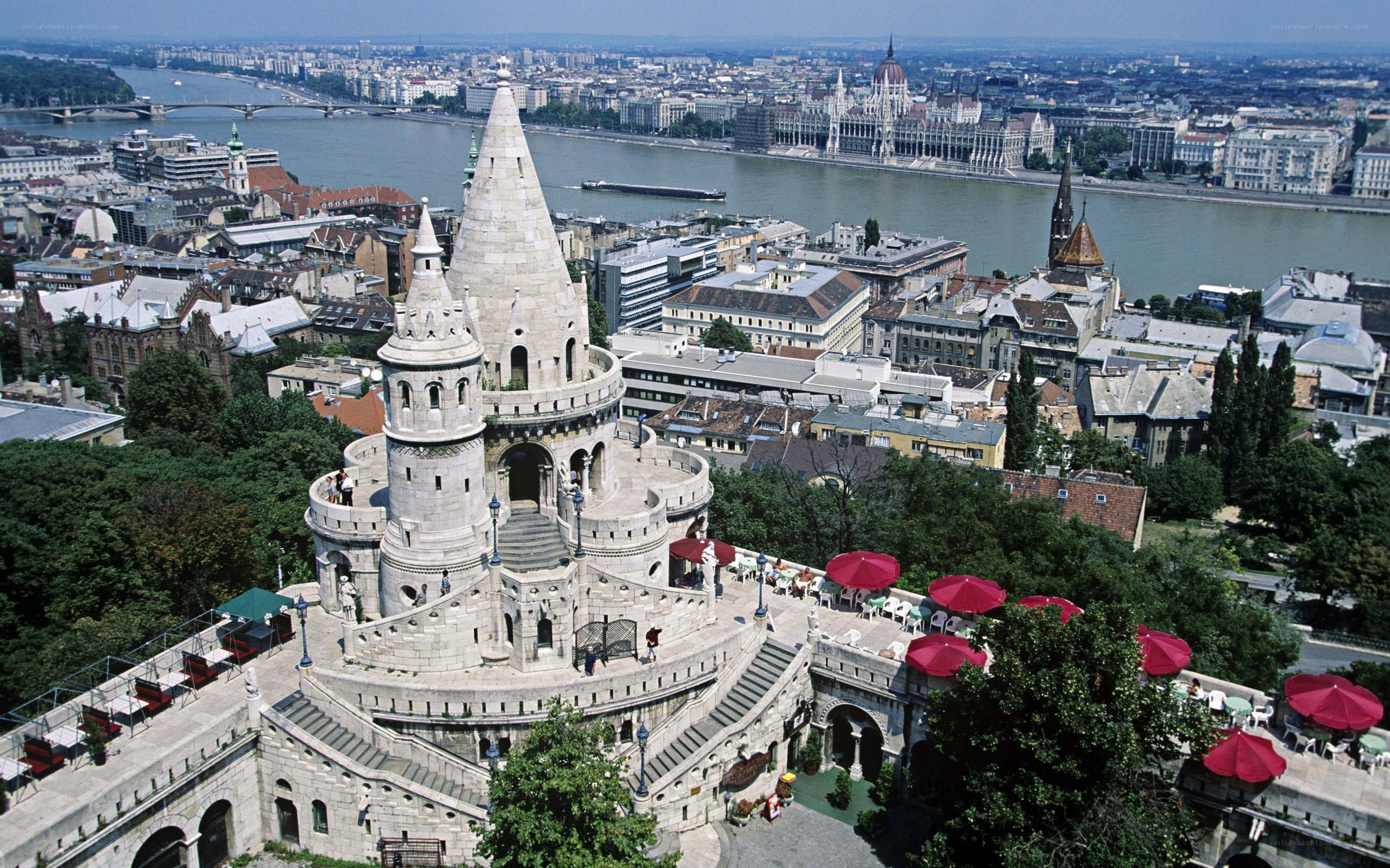 Buda Castle and Danube River