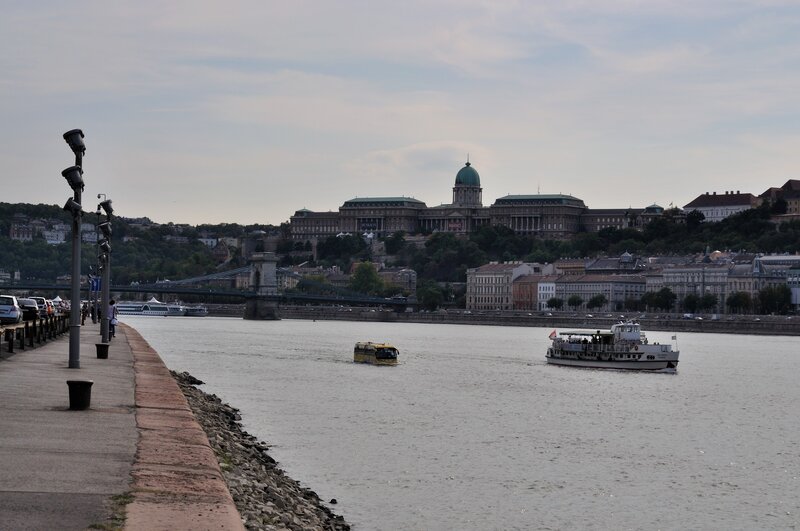Buda Castle and Danube River