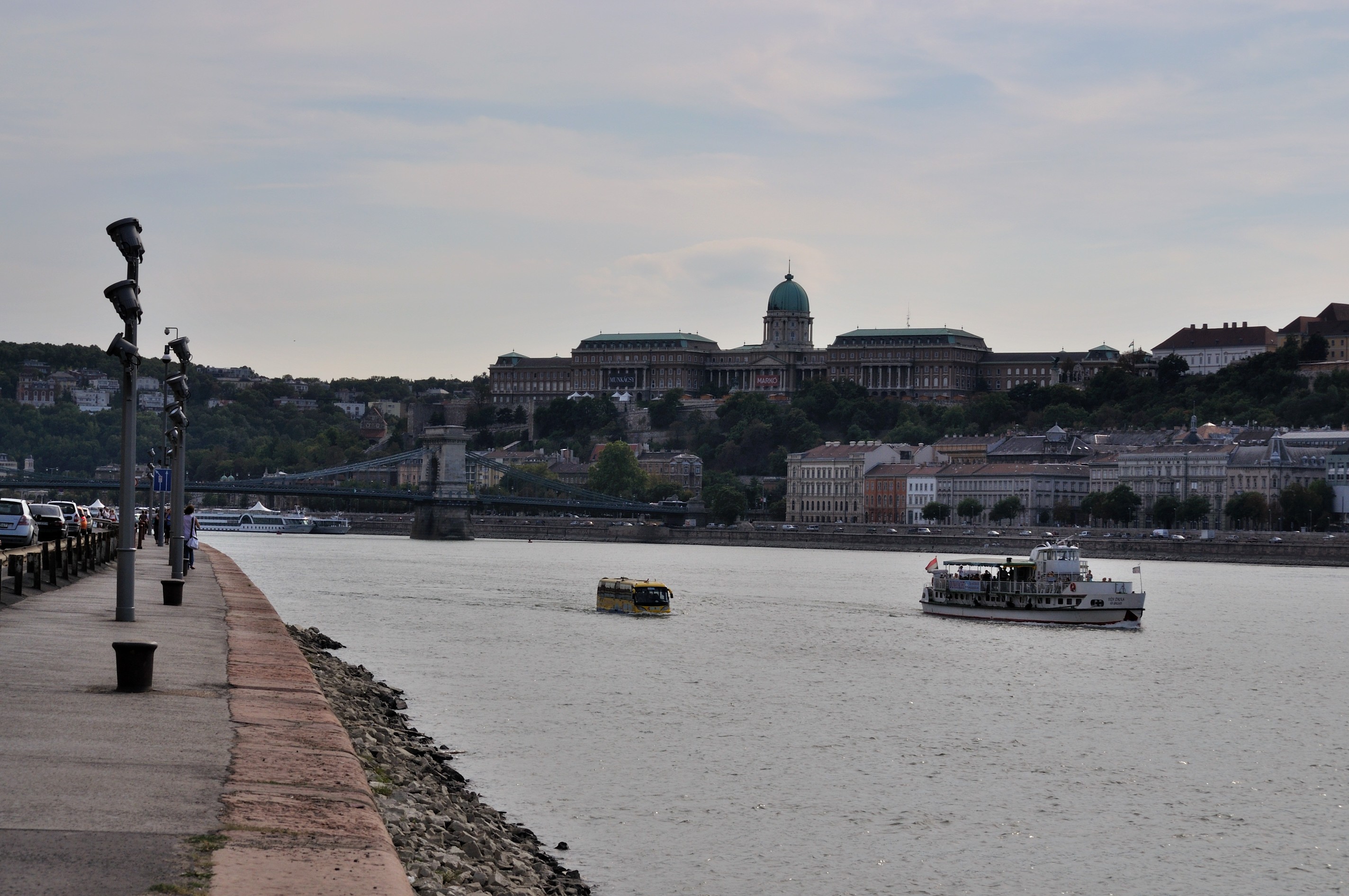 Buda Castle and Danube River