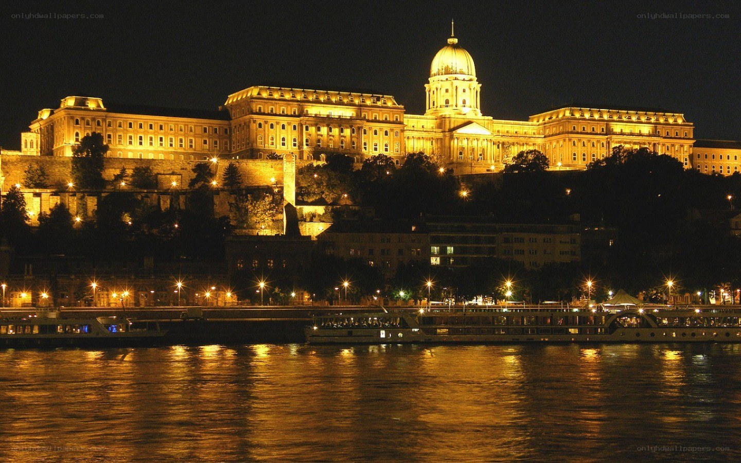 Buda Castle at night