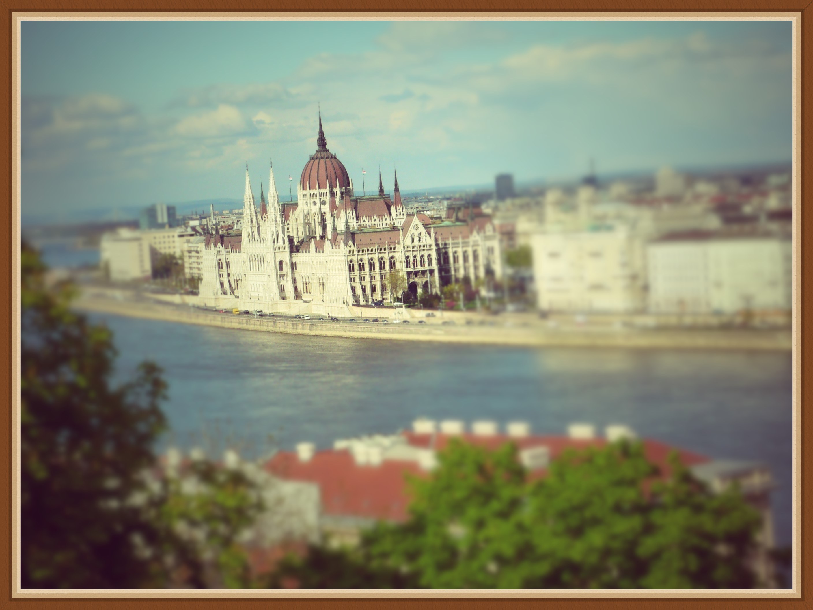 Buda Castle by the Danube