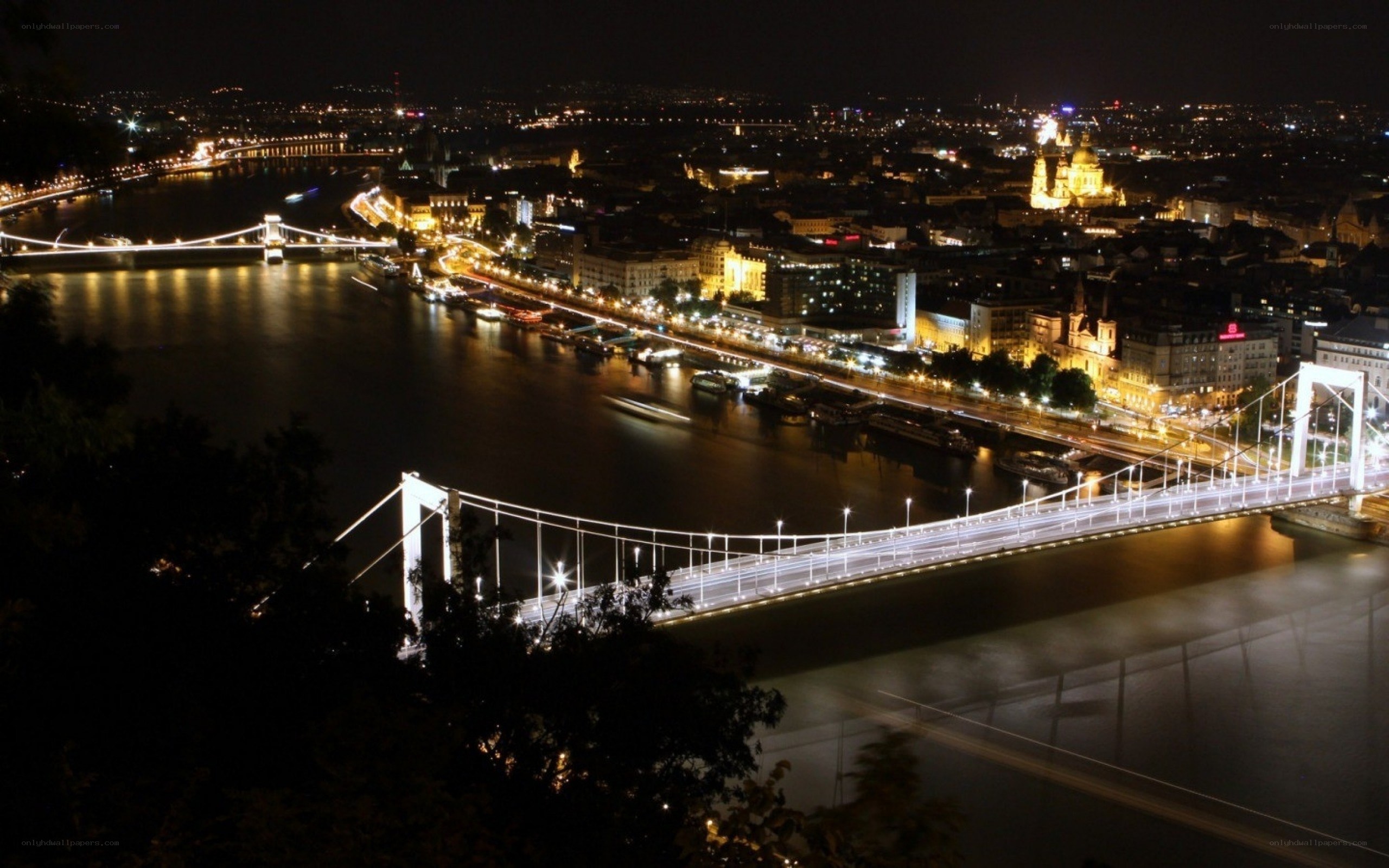 Budapest at night with bridges