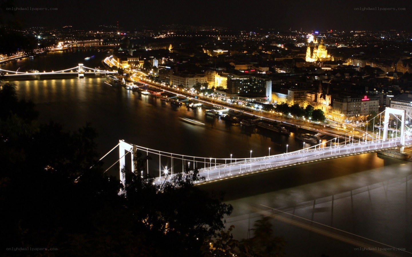 Budapest at night with bridges