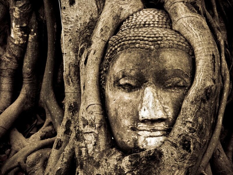 Buddha head entwined with tree roots