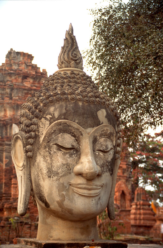 Buddha head statue at ancient site