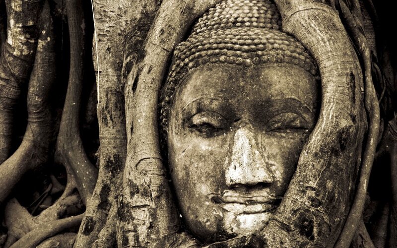 Buddha Head Statue