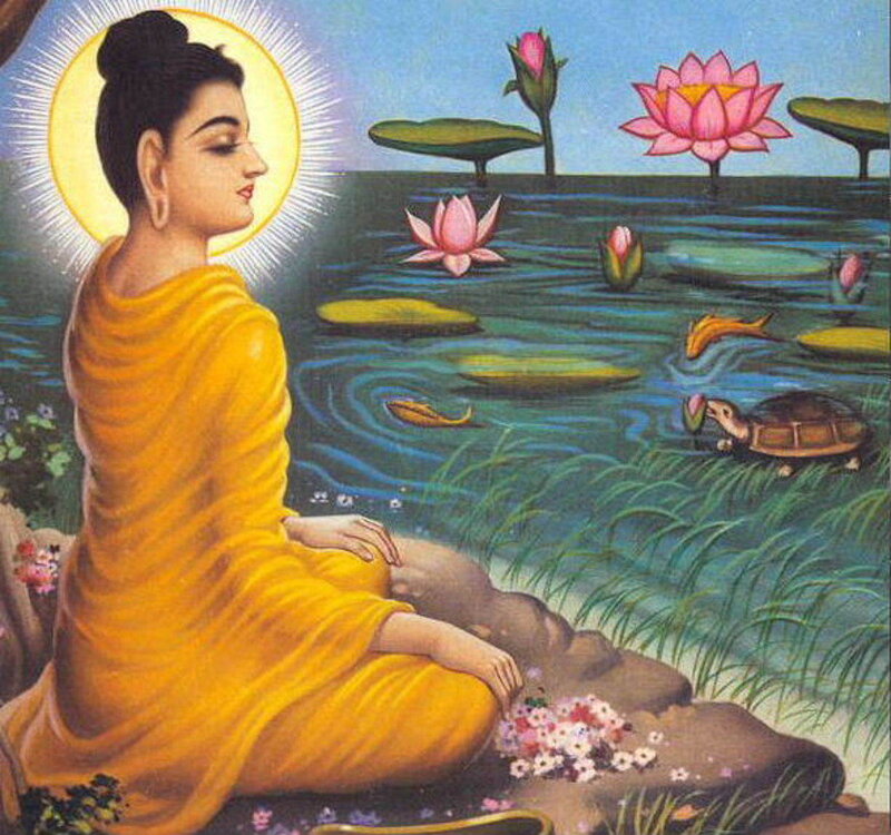 Buddha meditating by a pond