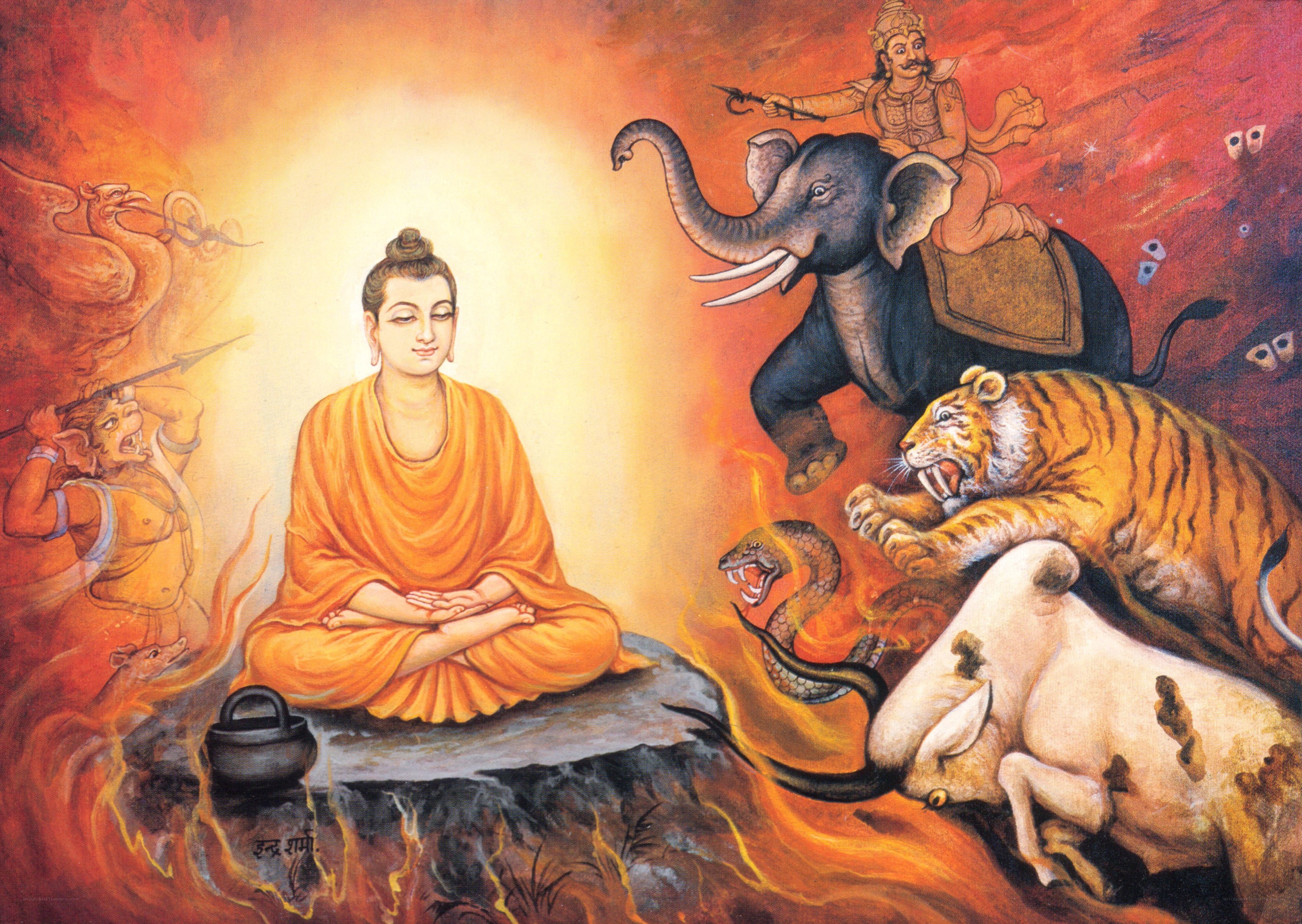 Buddha meditating in fire