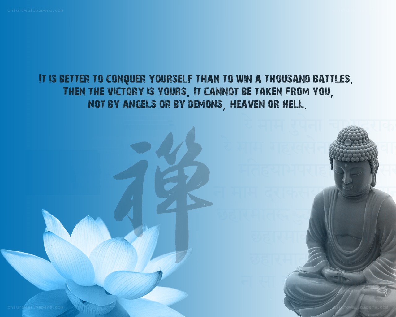 Buddha quote with lotus