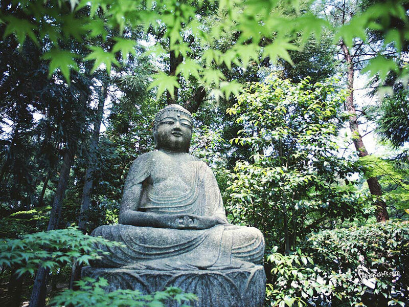 Buddha statue in a forest