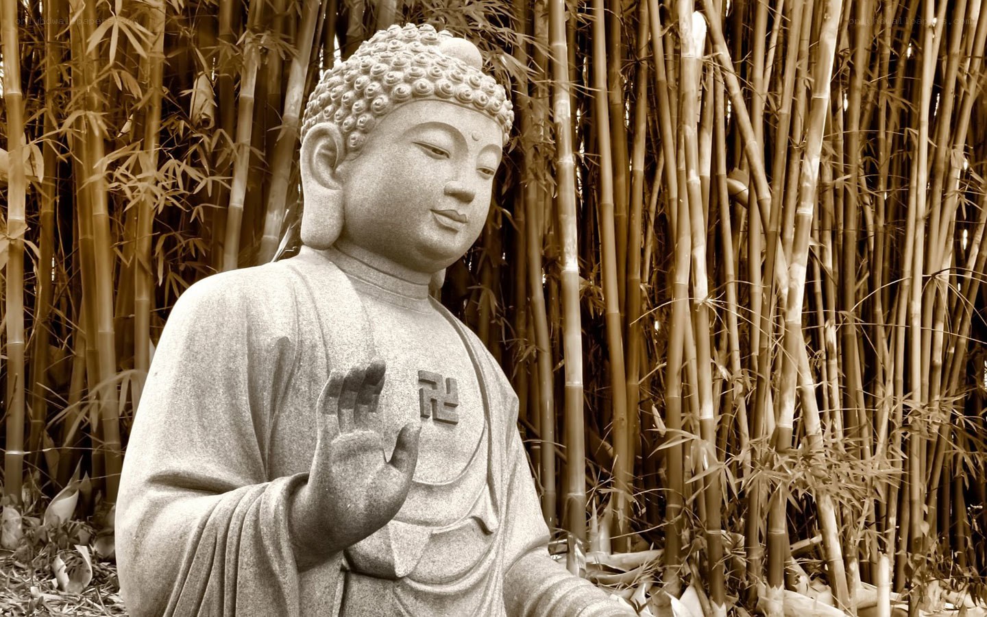 Buddha statue in bamboo grove