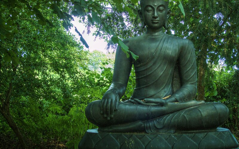 Buddha statue in forest
