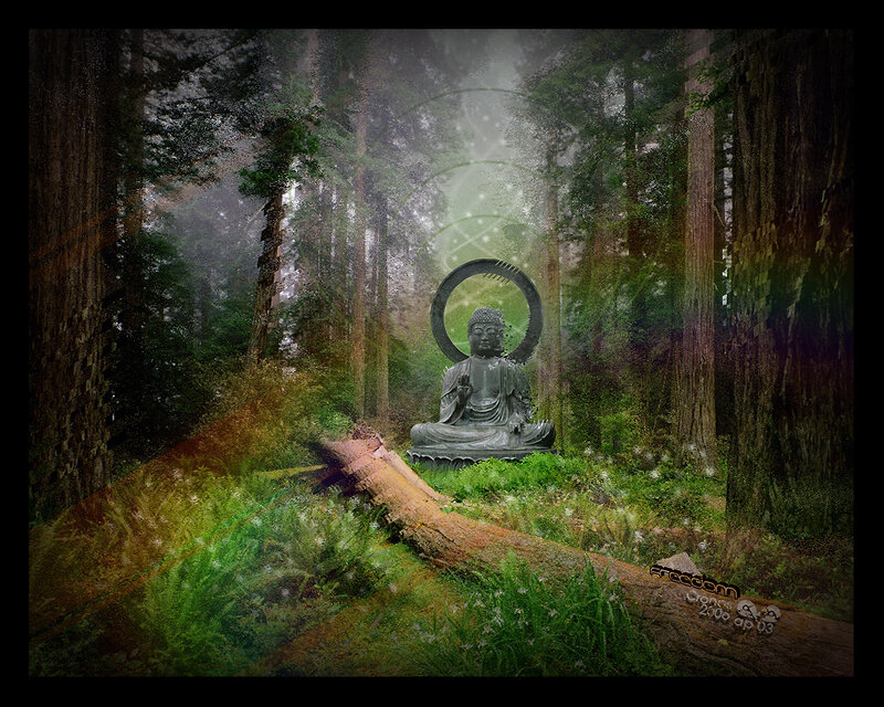 Buddha statue in forest