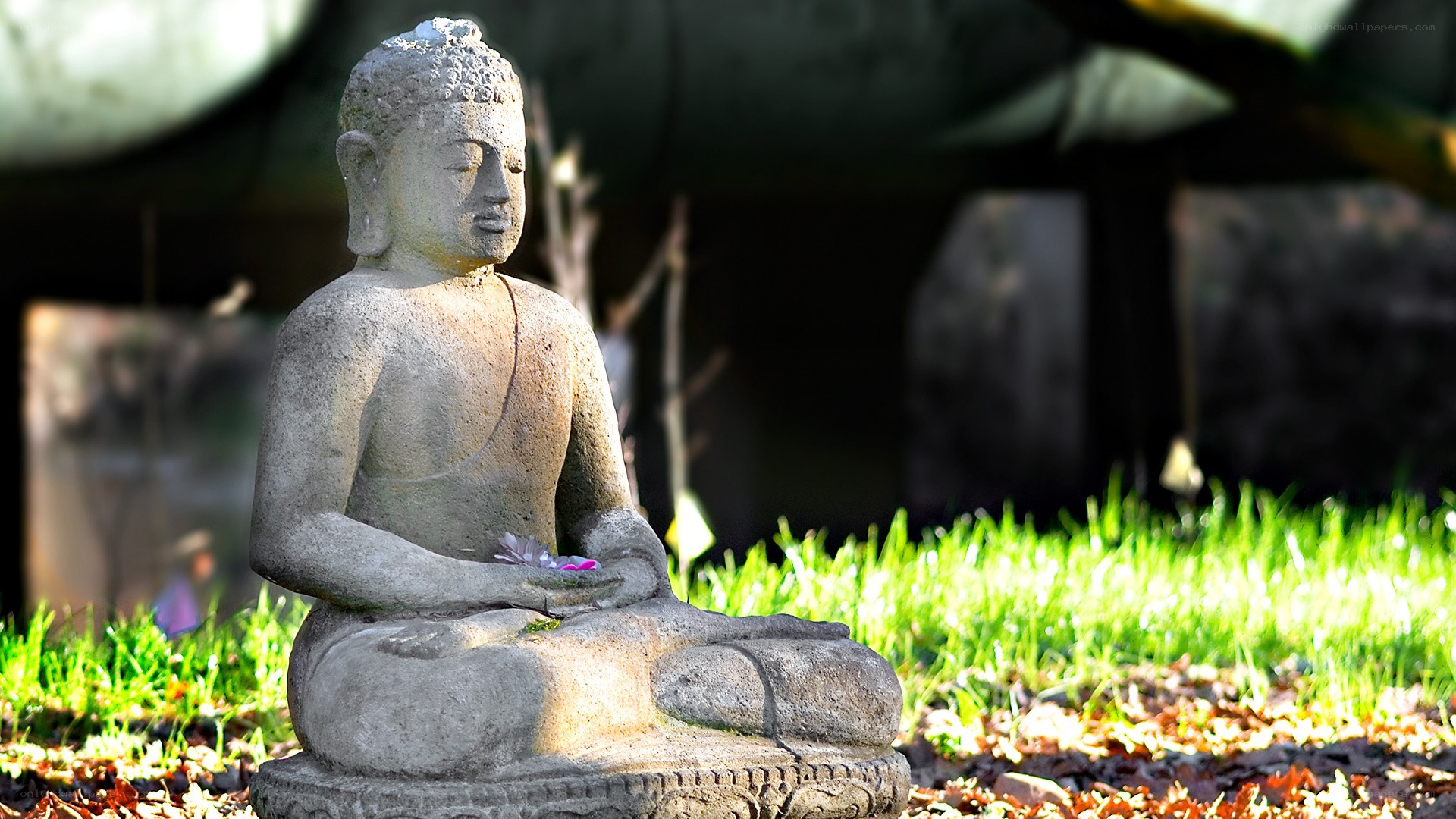 Buddha statue in garden