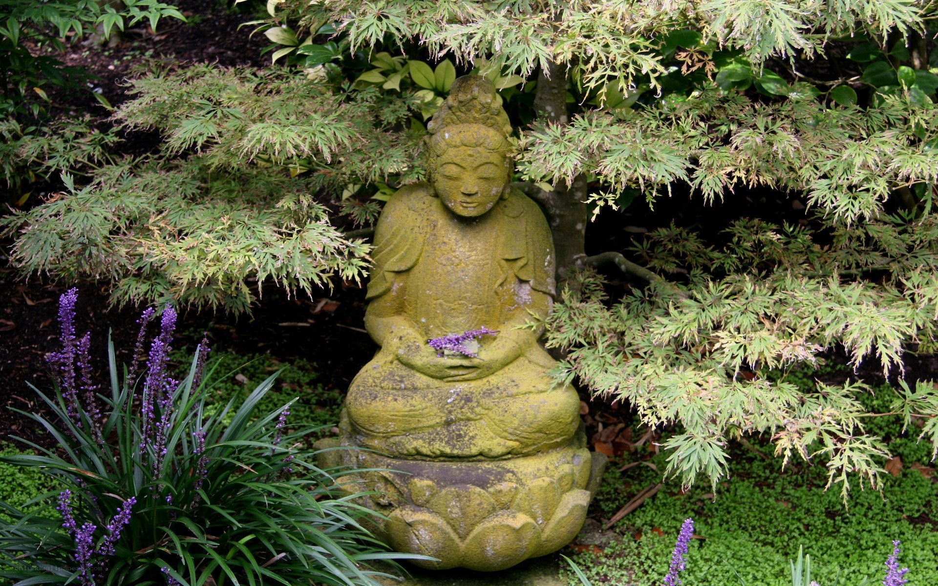 Buddha statue in garden