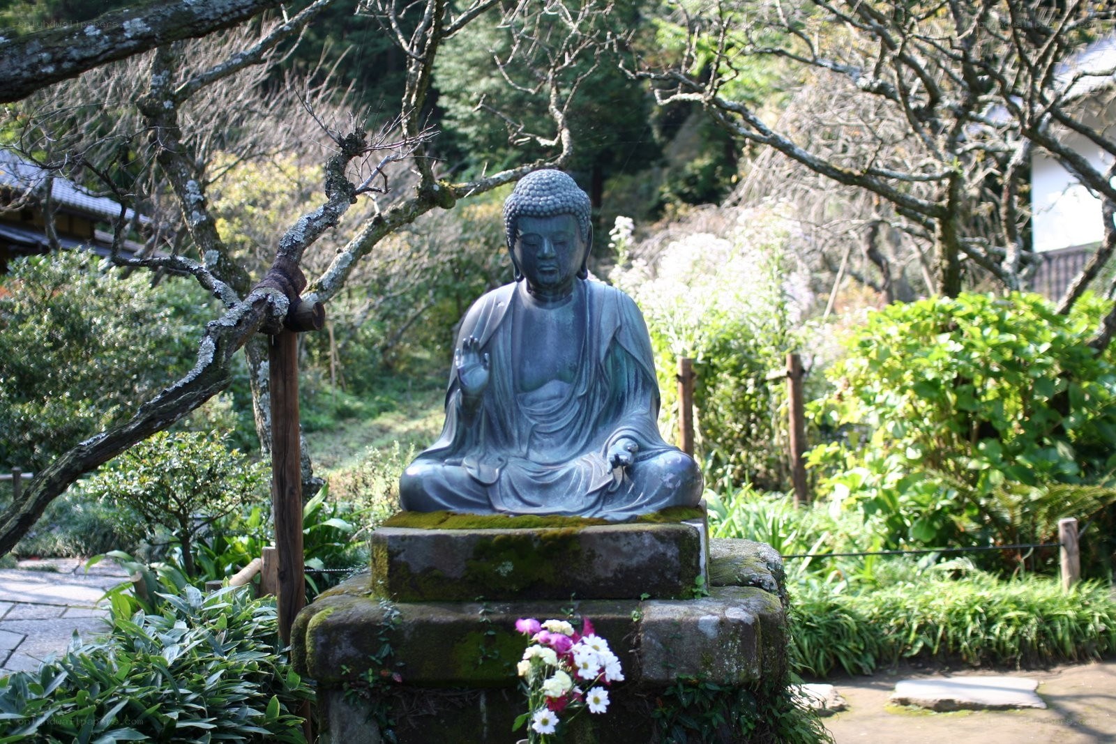 Buddha statue in garden