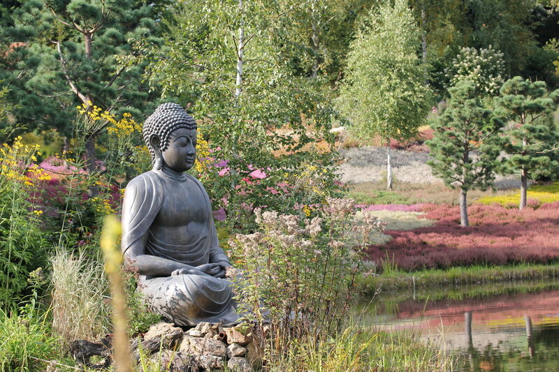 Buddha Statue in Garden — Green, Serene, Afternoon