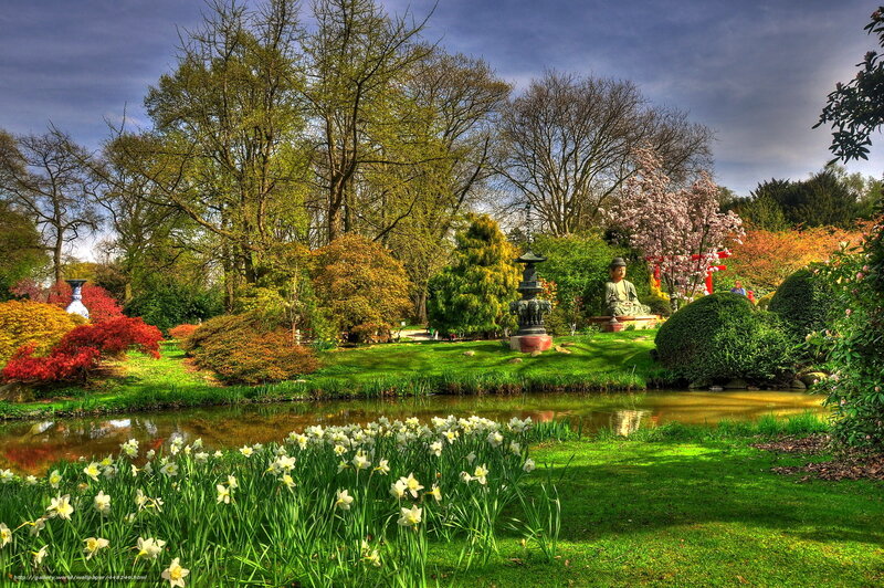 Buddha Statue in Garden — Green, Serene, Spring, Photograph, Pond, Flowers