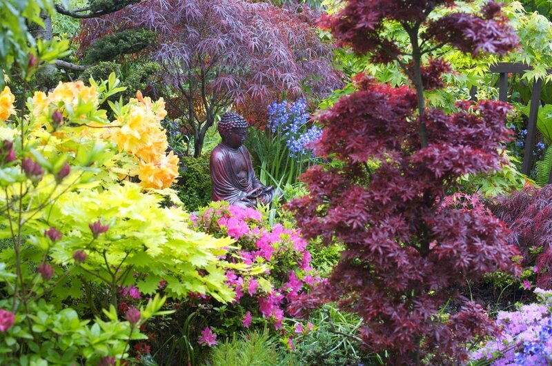 Buddha Statue in Garden — Green, Serene, Spring