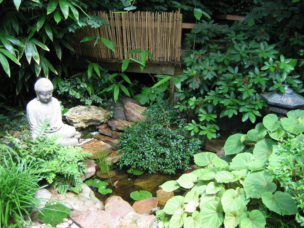 Buddha statue in garden pond