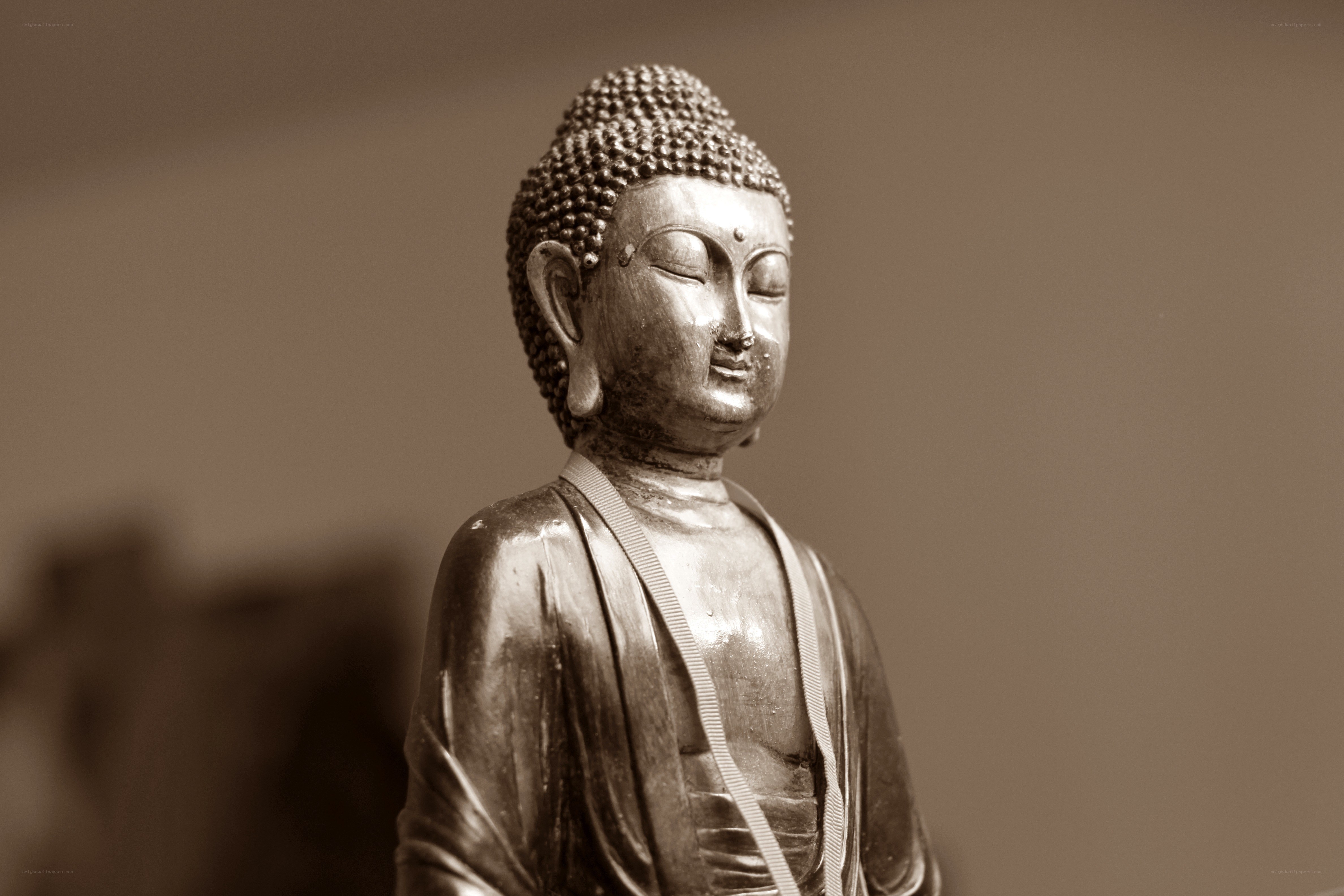 Buddha statue in sepia