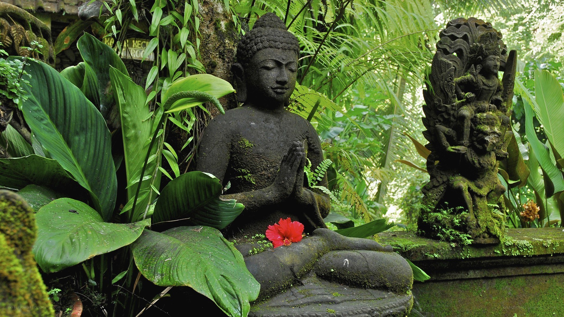 Buddha statue in tropical garden