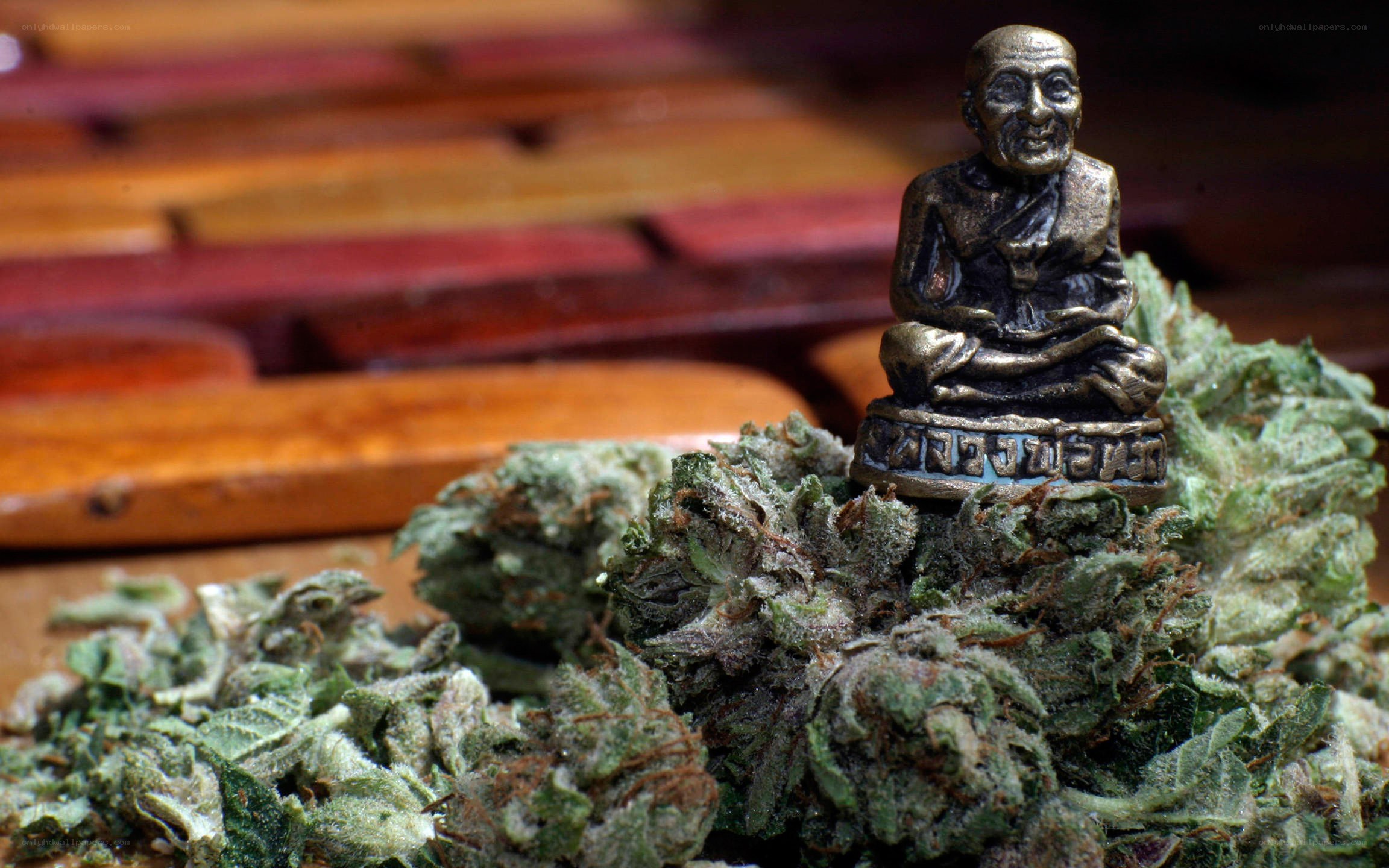Buddha statue on cannabis buds