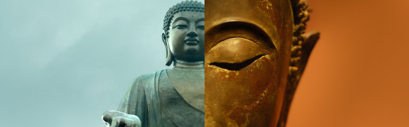 Buddha statue split view