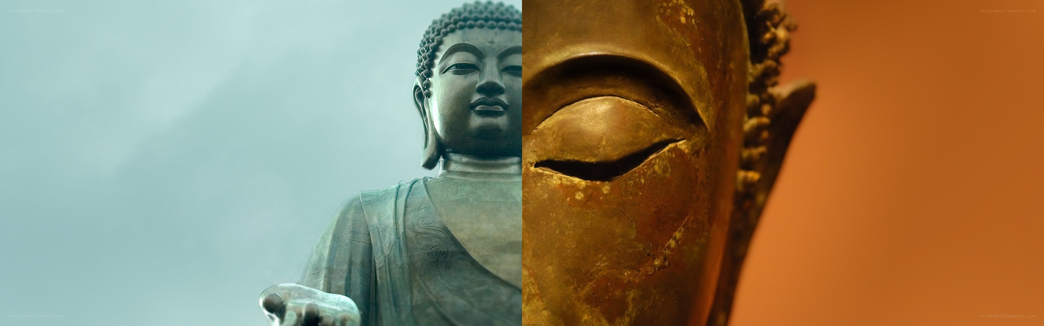 Buddha statue split view