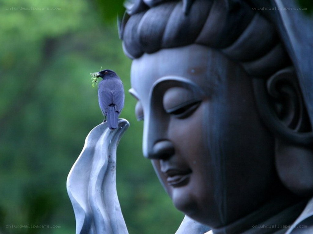 Buddha statue with bird