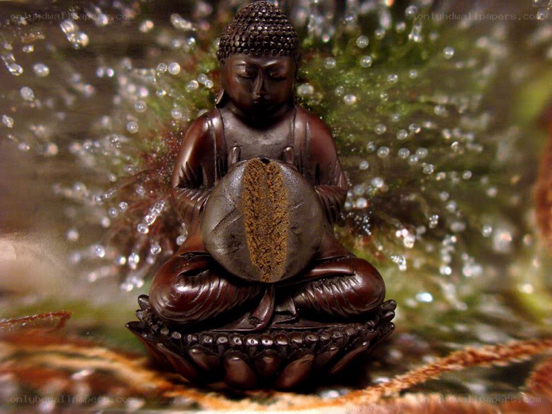 Buddha statue with incense