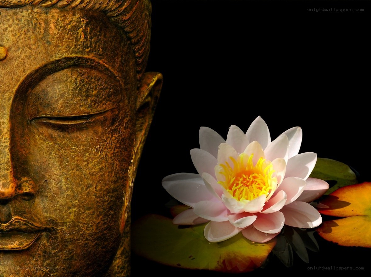 Buddha statue with lotus flower