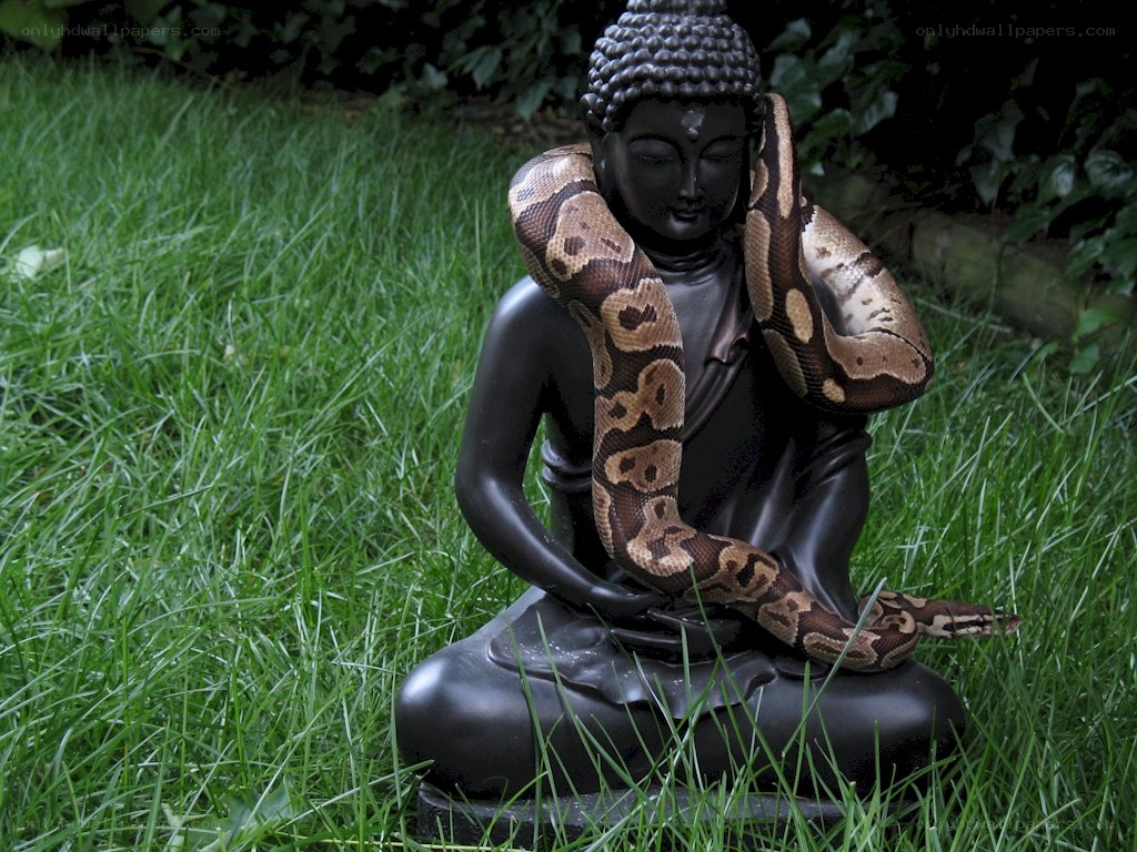 Buddha statue with snake