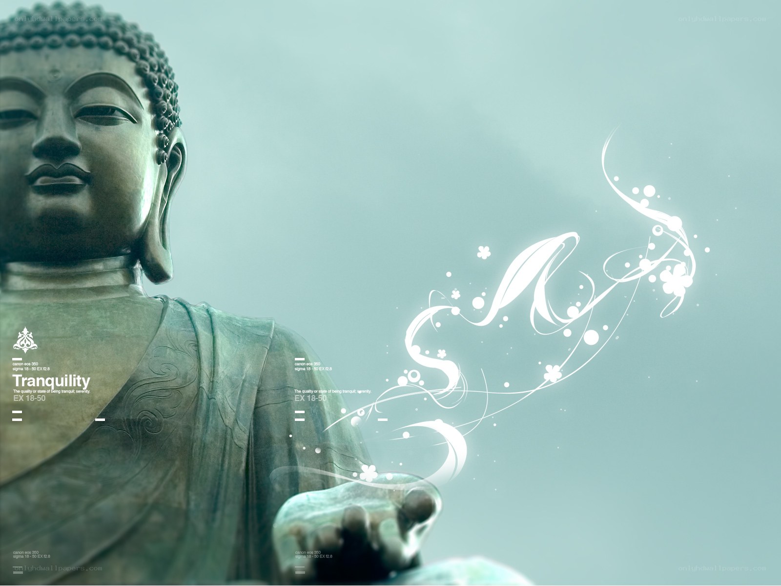 Buddha statue with tranquil design