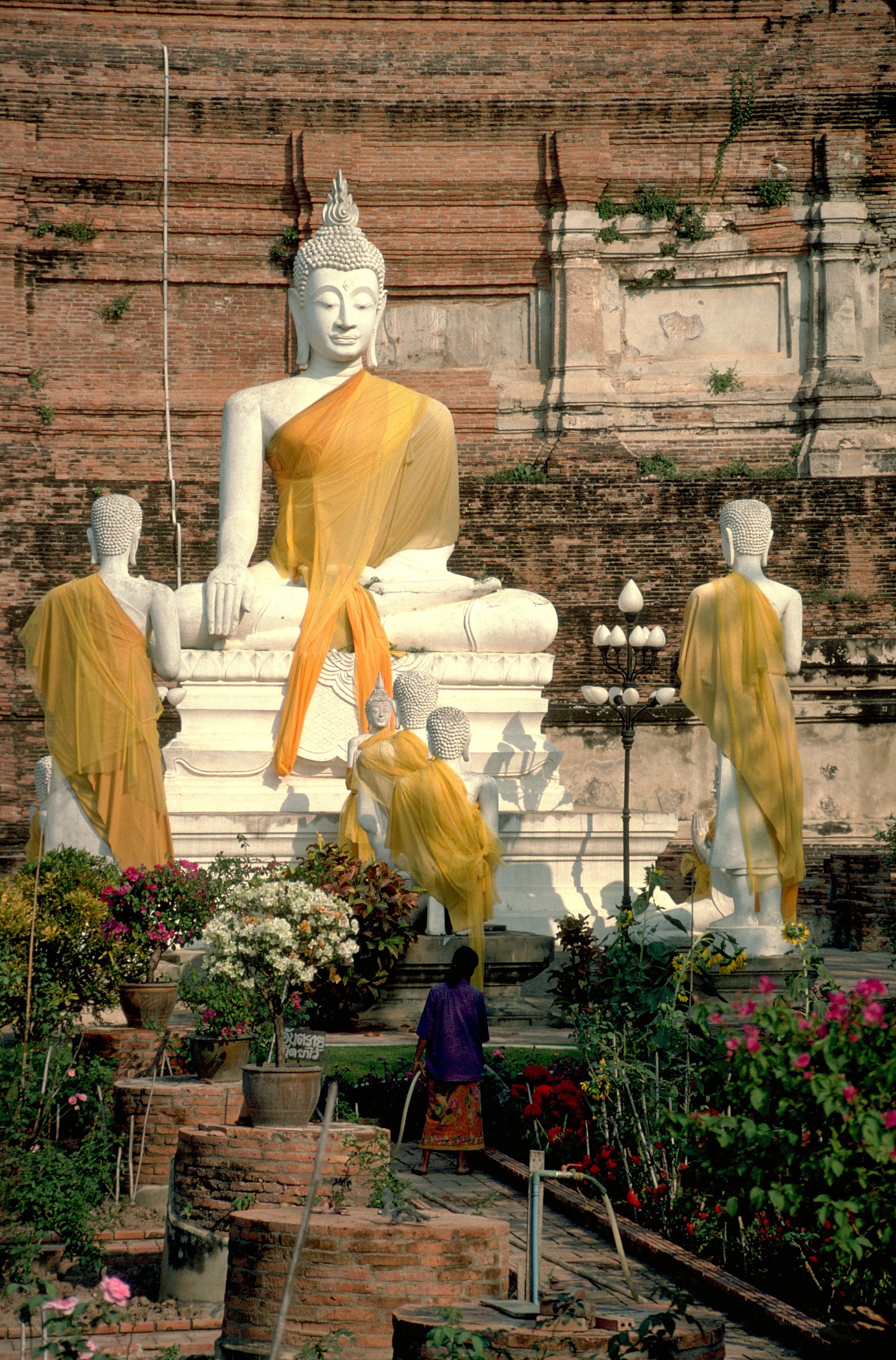 Buddha statues in a temple garden